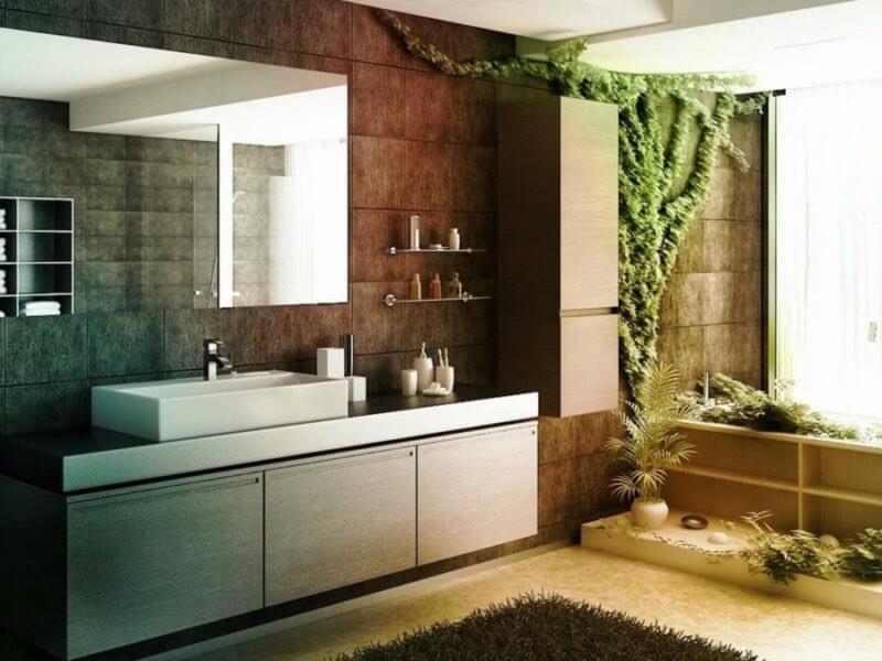 The Best Bathroom Plants
